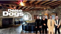 View from the Green Room: Daft 'Déise Dogs' knock off Reginald’s Tower