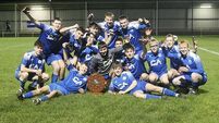 Dungarvan show their qualities to land playoff triumph