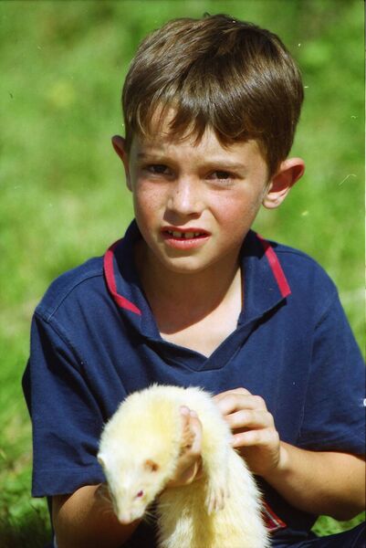 Mark Wyse, prepares his ferret for the ferret race at the 1999 Cloughernagh Pattern at Murphy's Pub.