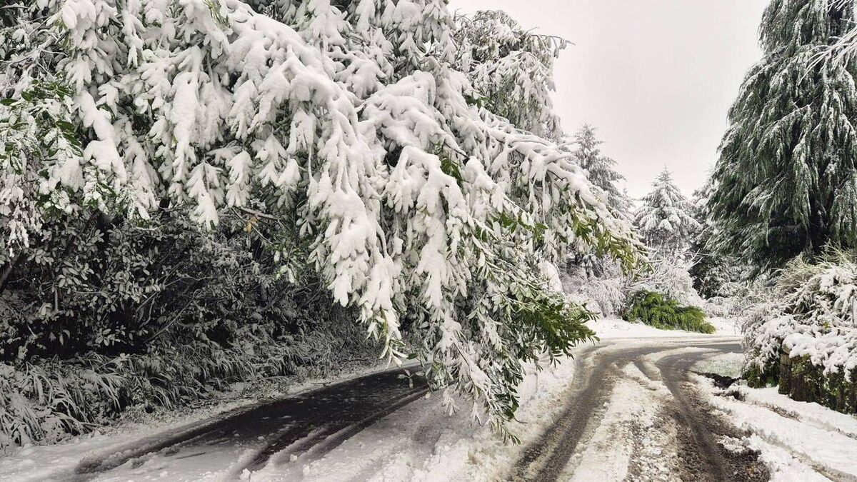 Waterford Council warn of dangerous conditions on local roads