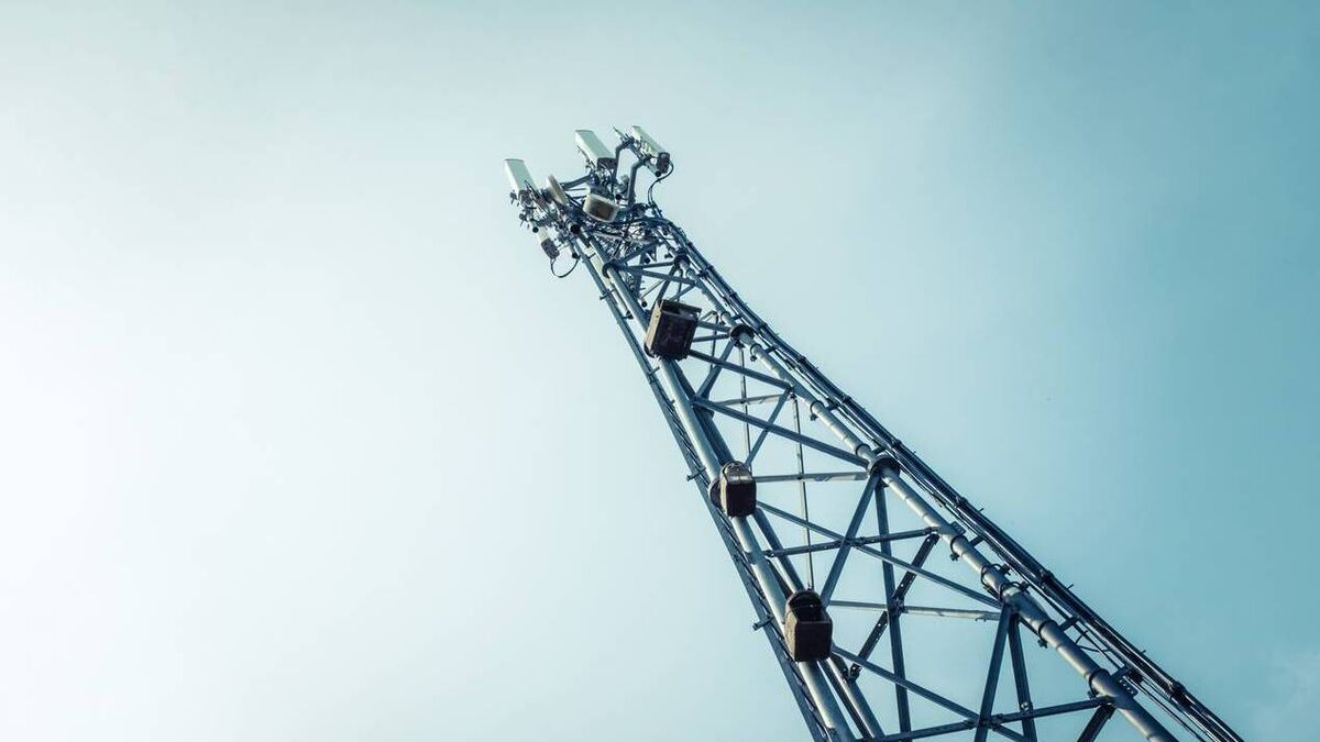 Locals rally to object to construction of telecommunications mast in Passage East