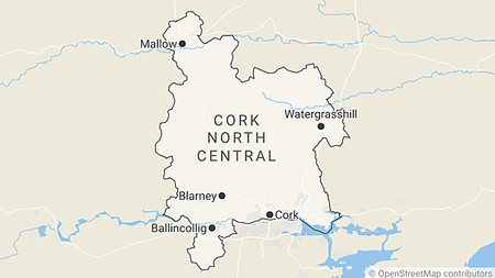 Crucial constituencies: Cork North-Central profile – Candidates and issues