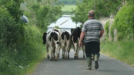 Are farmers being vilified? - Waterford election candidates have their say