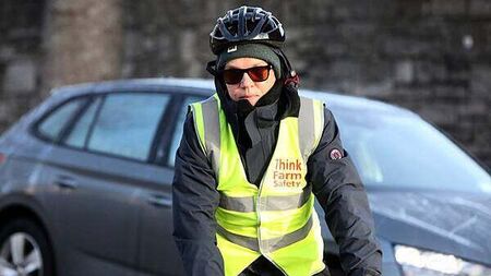 Diarmuid Phelan trial: Farmers 'within their rights' to shoot dogs 'worrying sheep'