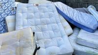 ‘There cannot be many mattresses left in Comeragh’ - waste days in Waterford a huge success