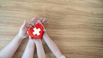 Waterford council called on to support vital Red Cross team