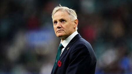 Joe Schmidt: Australia still have work to do ahead of next year’s Lions series