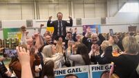 Cummins elected as Fine Gael sent back to Dáil