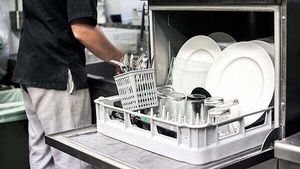 Irregular employment of migrant workers falls following new laws
