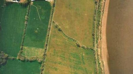 Is Waterford benefiting from Woodstown Viking site