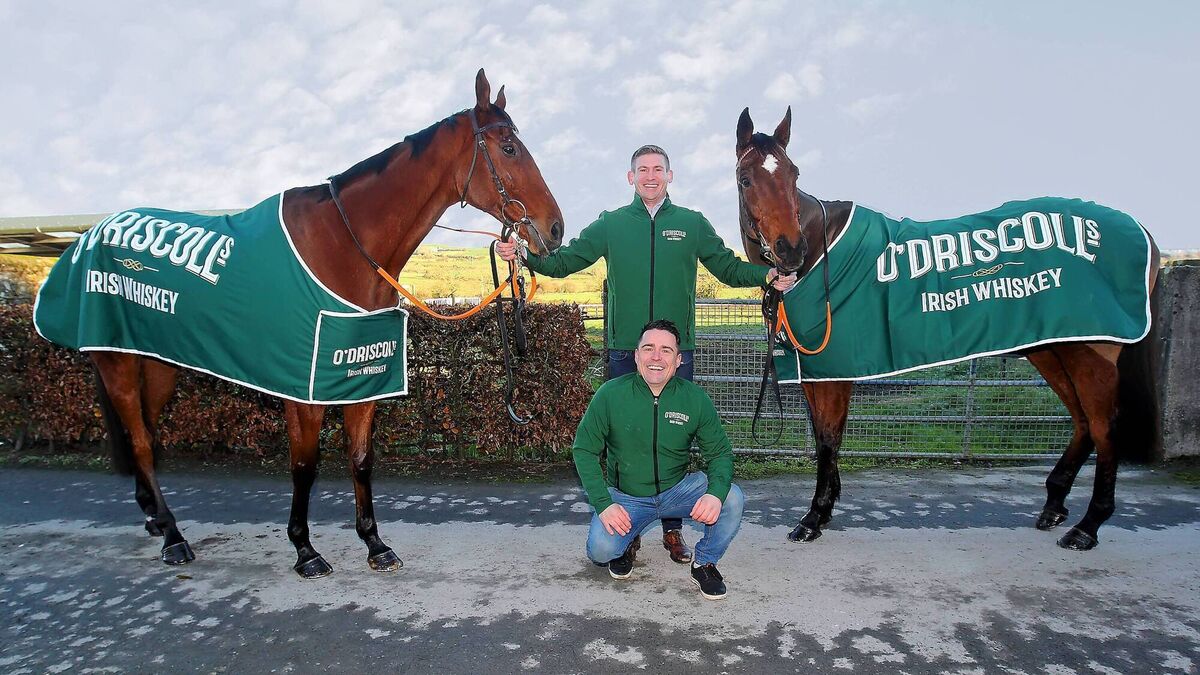 O’Driscoll’s Irish Whiskey to sponsor Tramore’s Grade 3 New Years Day Chase
