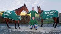 O’Driscoll’s Irish Whiskey to sponsor Tramore’s Grade 3 New Years Day Chase