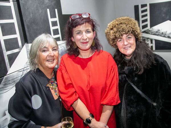 Attending were Ger Kennedy, Artist Anne McDonnell and Emer Powell. Photo: John Power