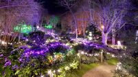 Lafcadio Hearne Gardens switch on famous festive lights in Tramore