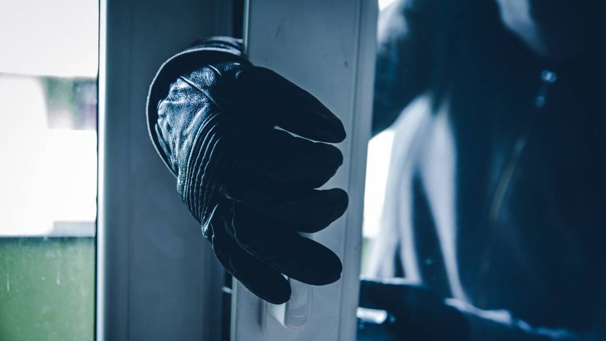 Appeal made following Waterford burglary