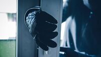 Appeal made following Waterford burglary