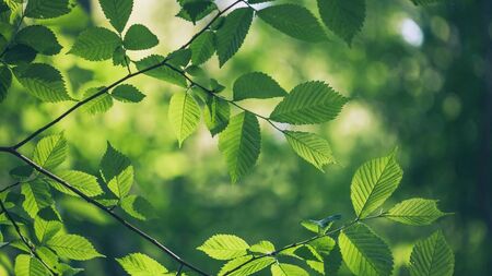 Explained: Why was Waterford's 2023 record on NEPs unsatisfactory?