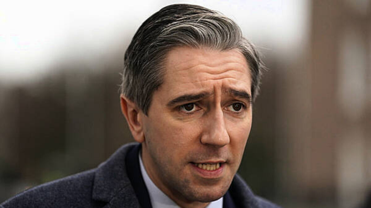 New government ‘ideally’ formed before Trump inauguration, says Taoiseach