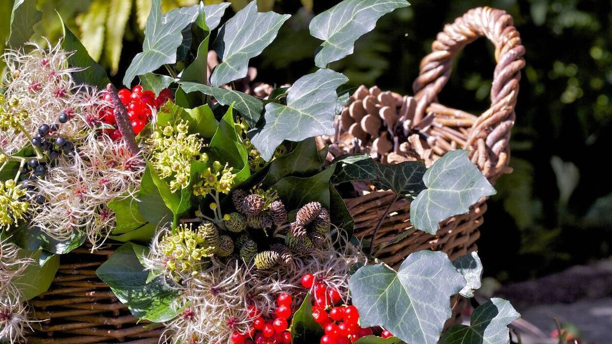 Green Fingers: The long and the short of it all