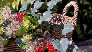 Green Fingers: The long and the short of it all Green Fingers: The long and the short of it all