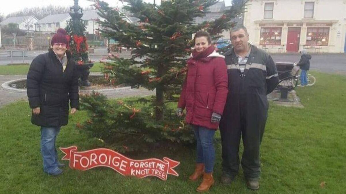 Forget Me Knot, Portlaw: 'It's not just a Christmas tree'