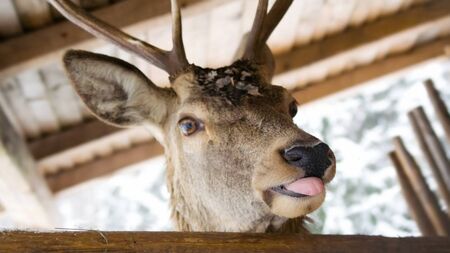 Weather won't stop Santa reaching Déise