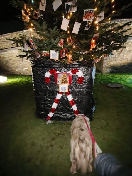 Pet Memorial Tree, Tramore