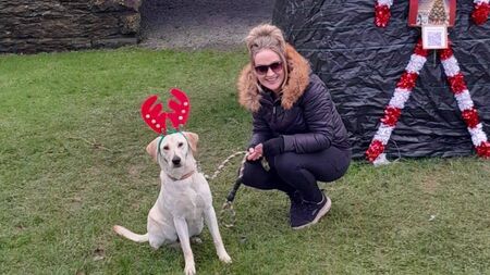 Remembering departed pets this Christmas