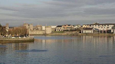 New mayor of Limerick asked Simon Harris for €2bn of apple tax fund for the county