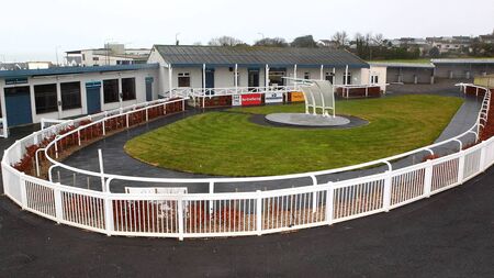 Tramore to face 8am inspection ahead of New Year's Day meeting