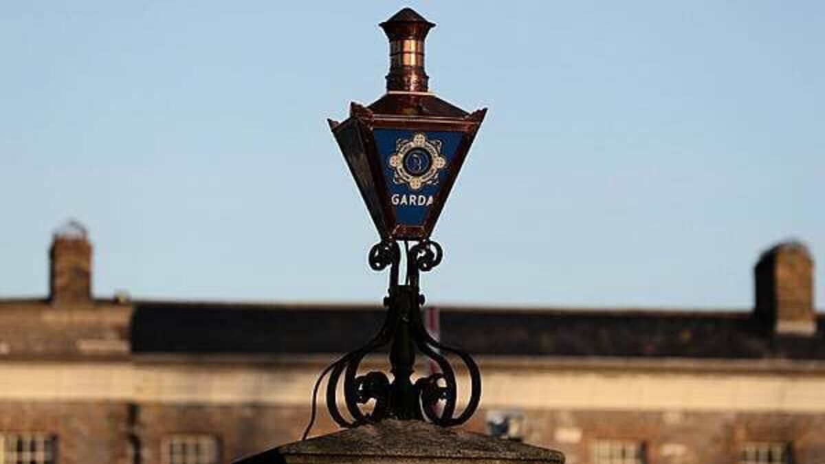 Second man arrested in connection with body found in Co Wexford