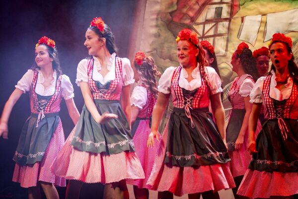 Waterford Panto Society production of Beauty and the Beast at the Theatre Royal. Photo: Joe Evans Waterford Panto Society production of Beauty and the Beast at the Theatre Royal. Photo: Joe Evans