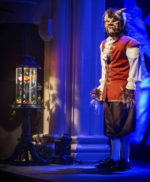 Waterford Panto Society production of Beauty and the Beast at the Theatre Royal. Photo: Joe Evans Waterford Panto Society production of Beauty and the Beast at the Theatre Royal. Photo: Joe Evans