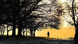 'Significant snow' forecast with lows of -5 ahead of 'multi-weather hazard event'
