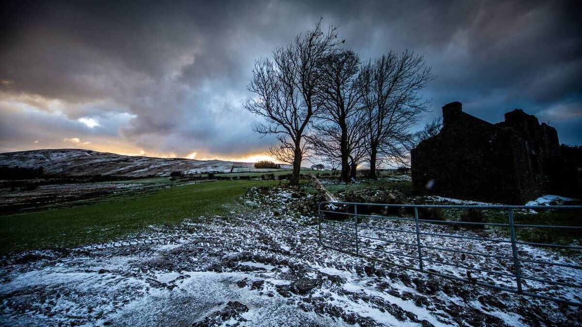Ministers urge farmers to prioritise safety during the current cold snap
