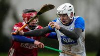 No joy for Queally's Déise in Brian Greene fundraiser