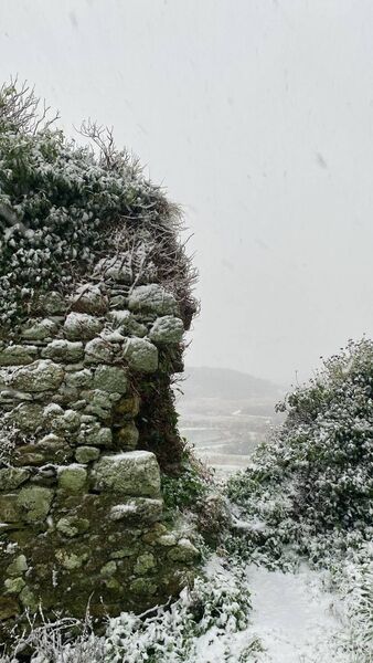 A blanket of snow reveals the beauty of the Dunhill Anne Valley nature reserve area. Photos by Fergal.