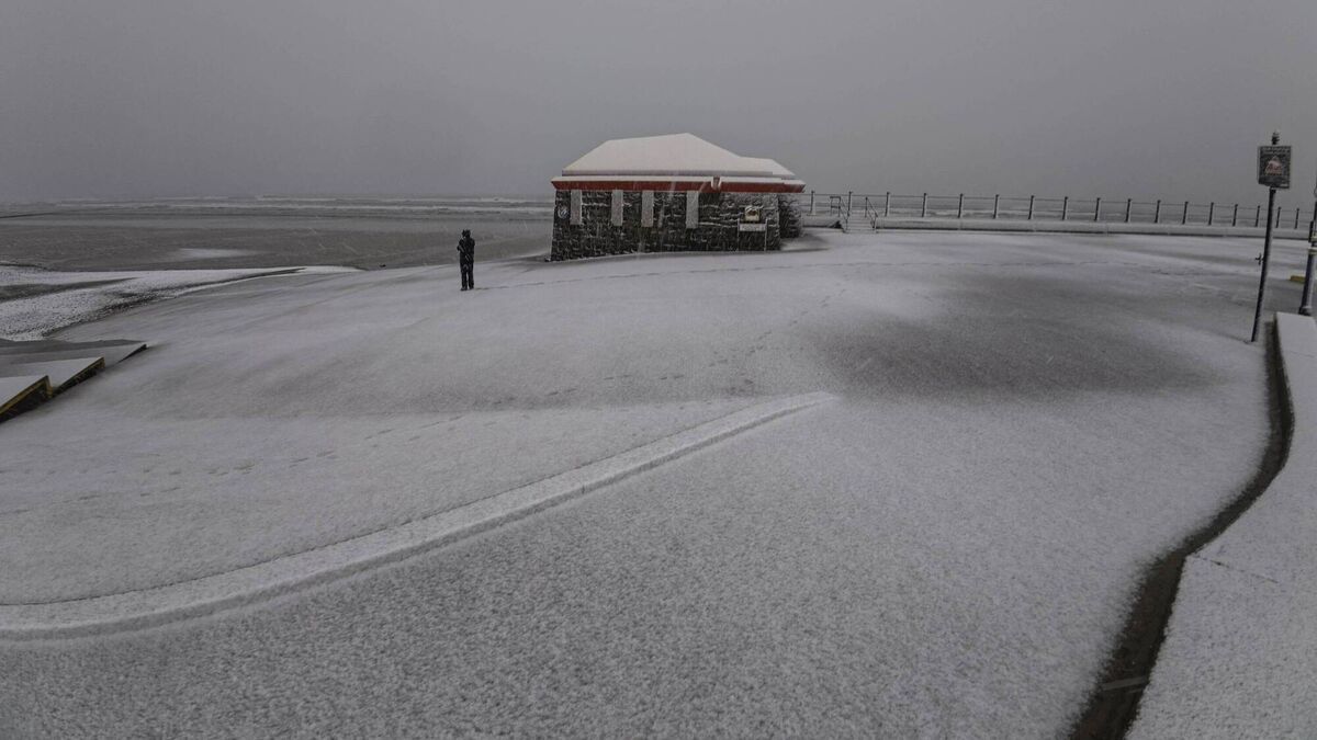 In Photos: Waterford in the snow captured by the people of the Déise