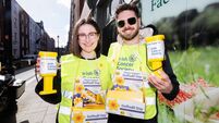 Cancer Society issues urgent appeal for Daffodil Day organisers in Dungarvan