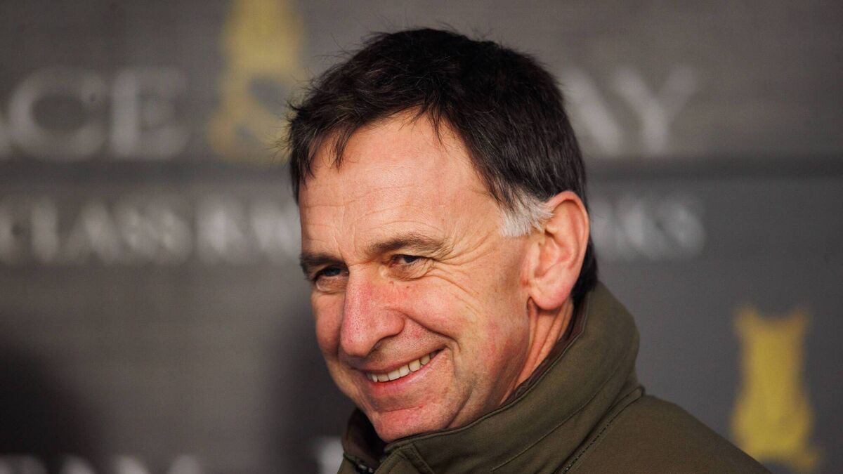 Quiet week on the cards de Bromhead
