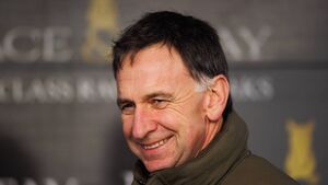 Quiet week on the cards de Bromhead