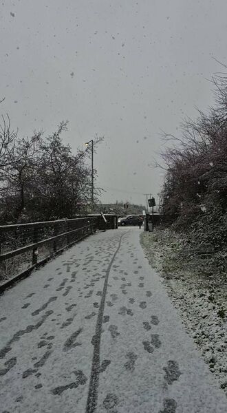 Waterford snow scene. Pic: Malena Fitzgerald