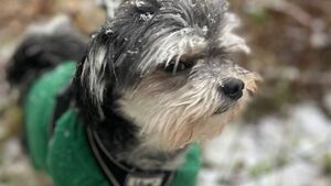 In Photos: Snow covered scenes captured by the people of Waterford 