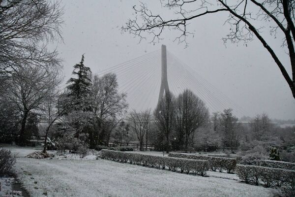 A bridge over snowy waters. A garden view in Waterford. Pic: Paddy Tobin
