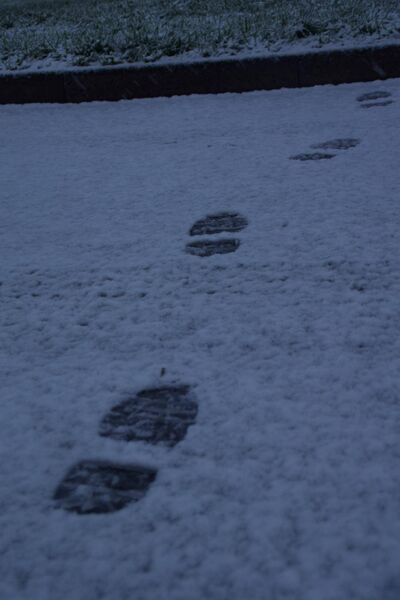 Following in the footsteps. Snow in Waterford. Pic: Brie Phelan