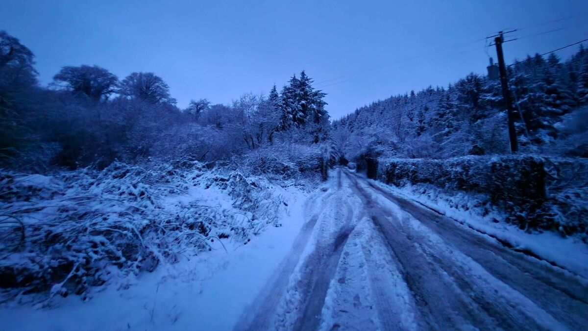 In Photos: Snowy scenes from around Waterford captured by the public