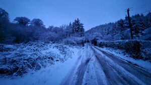 In Photos: Snowy scenes from around Waterford captured by the public