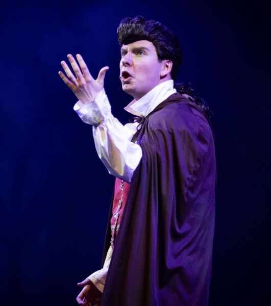 Waterford Panto Society production of Beauty and the Beast at the Theatre Royal. Photo: Joe Evans