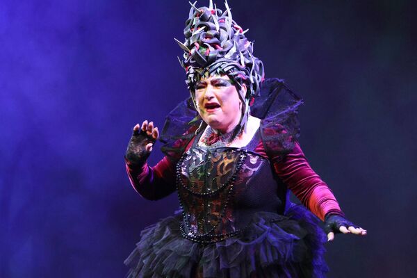 Waterford Panto Society production of Beauty and the Beast at the Theatre Royal. Photo: Joe Evans