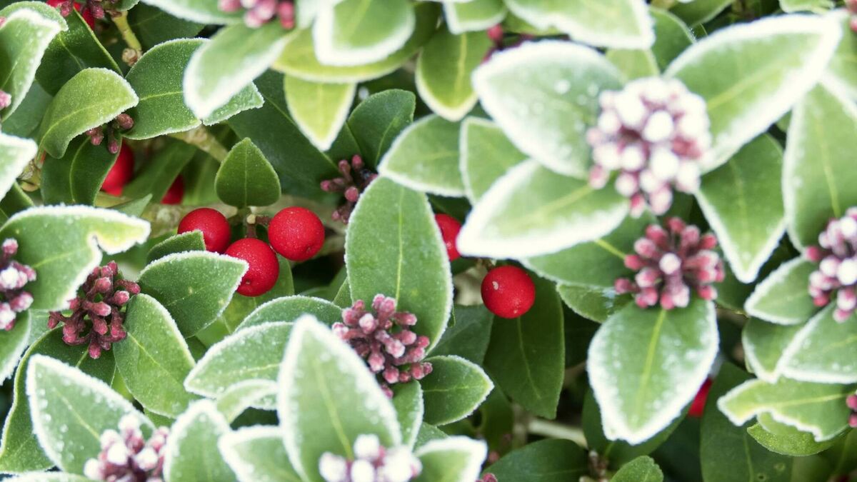 Green Fingers: Enjoy the moment